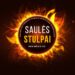 Jubiliejinių metų įkvėpti „Saulės stulpai“: Šiauliuose iškils naujos šamoto skulptūros